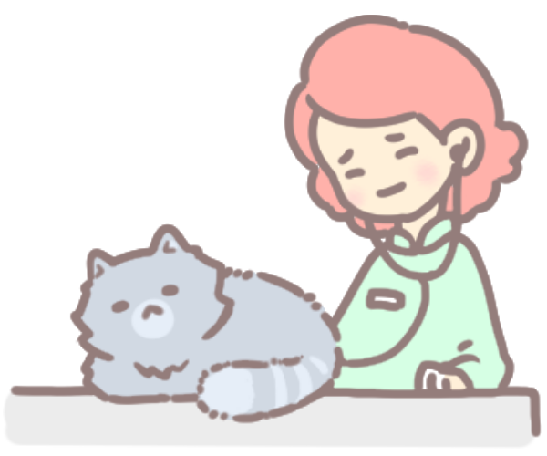 解決挑嘴貓_4 解決挑嘴貓_4