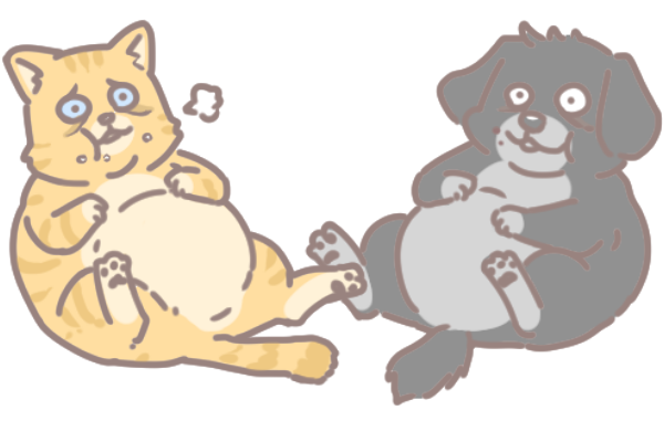 改善淚溝的飲食法_4