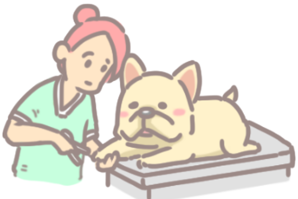 狗足部保養_5 狗足部保養_5