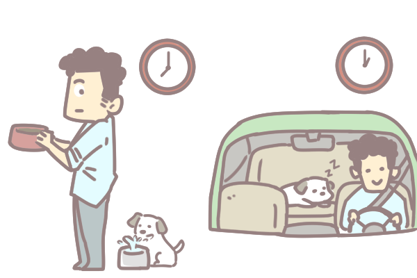 寵物暈車怎麼辦_3