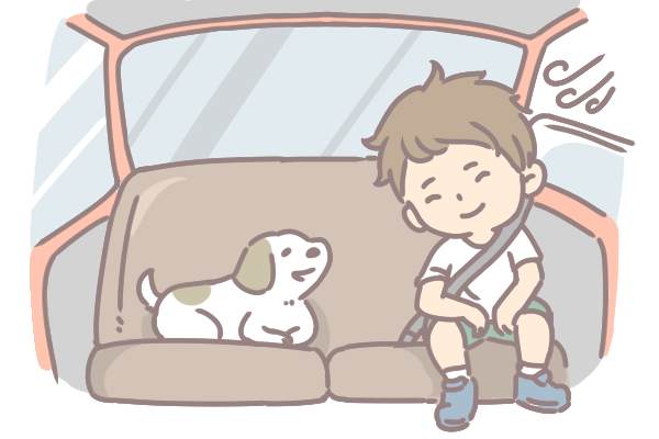 寵物暈車怎麼辦_4