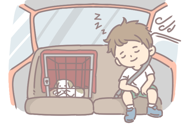 寵物暈車怎麼辦_5