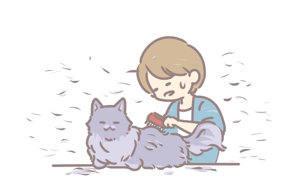 過年打掃清貓毛_5 過年打掃清貓毛_5