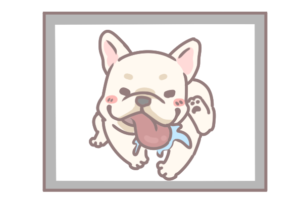 讓毛孩一秒變網美的技巧_1