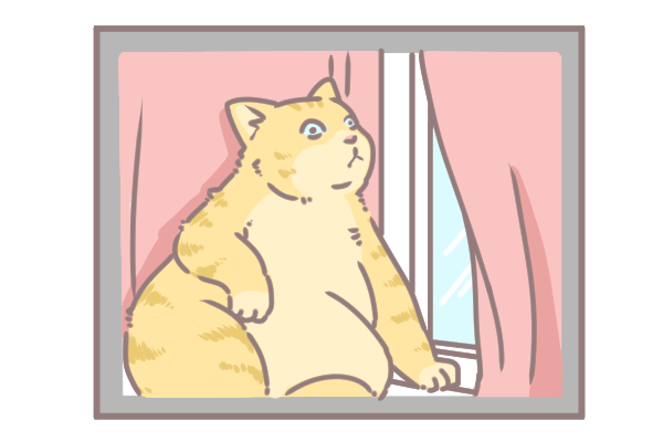 讓毛孩一秒變網美的技巧_2