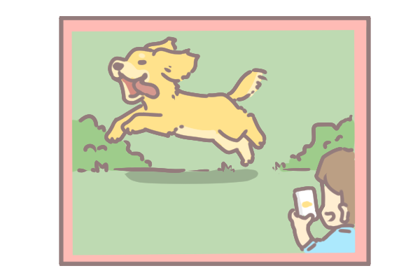 讓毛孩一秒變網美的技巧_3