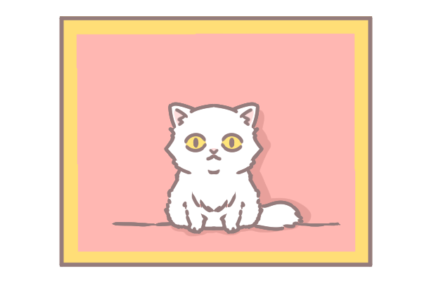 讓毛孩一秒變網美的技巧_4