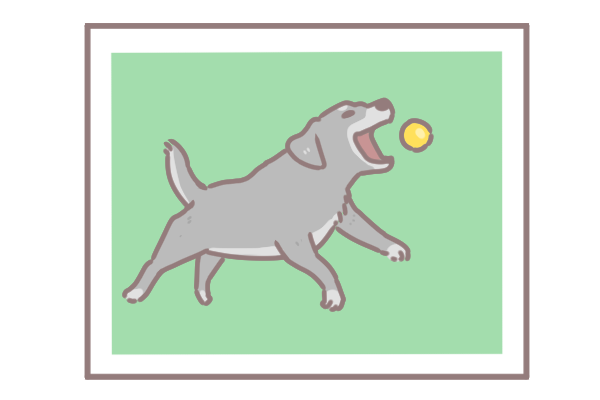 讓毛孩一秒變網美的技巧_5