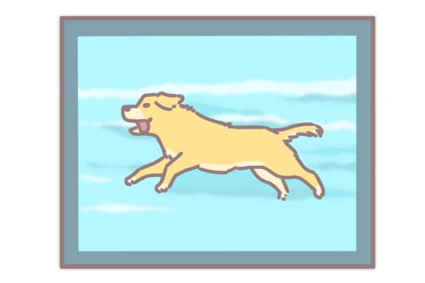 讓毛孩一秒變網美的技巧_6