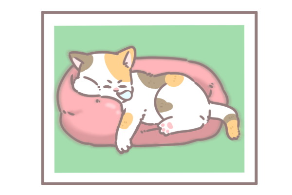 讓毛孩一秒變網美的技巧_7