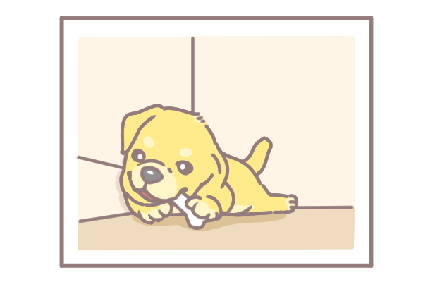 讓毛孩一秒變網美的技巧_8