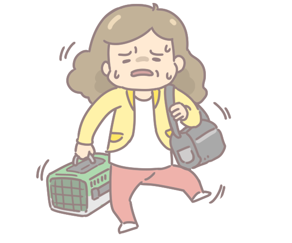 寵物搭車怎妹運車_1