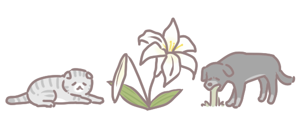 年花注意有毒_5