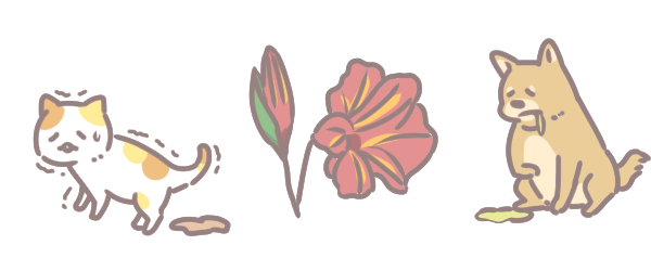 年花注意有毒_4