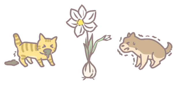 年花注意有毒_2