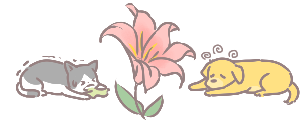 年花注意有毒_1