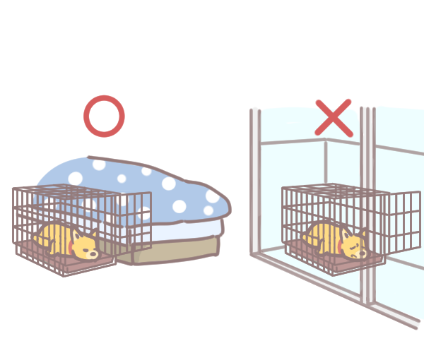 三步驟幫狗狗進行籠內訓練_5