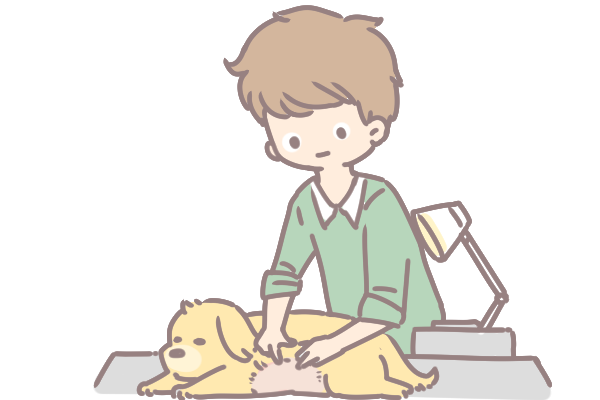 狗為什麼會亂尿_2