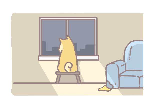 狗為什麼會亂尿_4