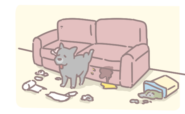 狗為什麼會亂尿_3