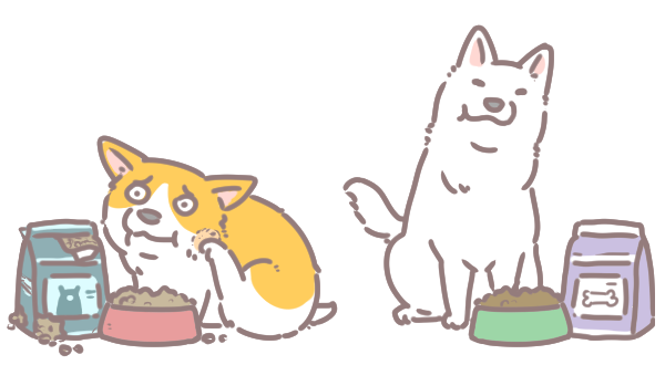 狗狗毛髮養護的十大秘招_2