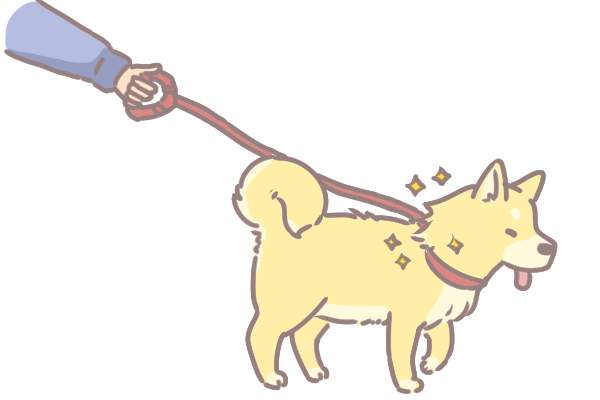 狗狗毛髮養護的十大秘招_4