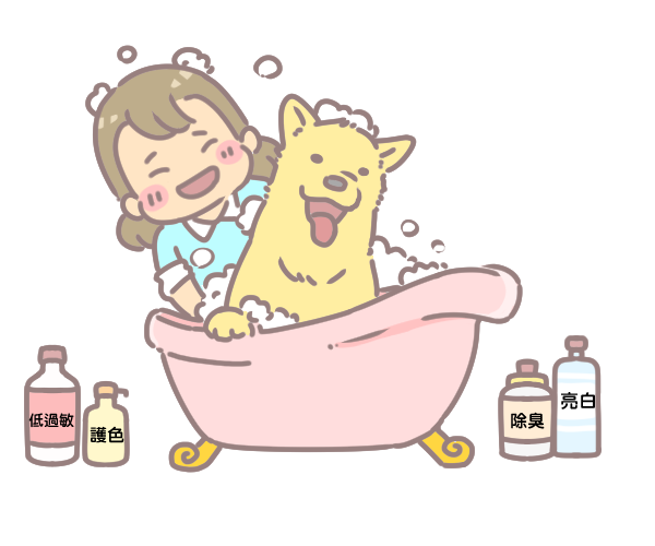 狗狗毛髮養護的十大秘招_5