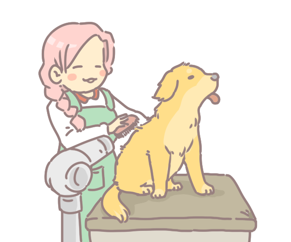 狗狗毛髮養護的十大秘招_6