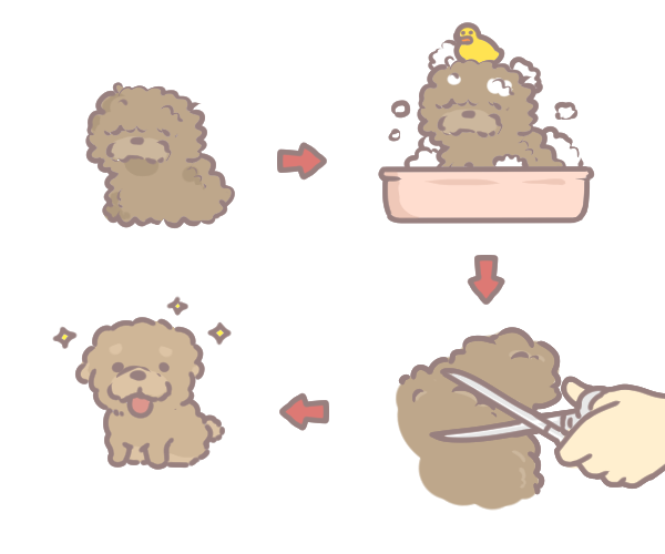 狗狗毛髮養護的十大秘招_7