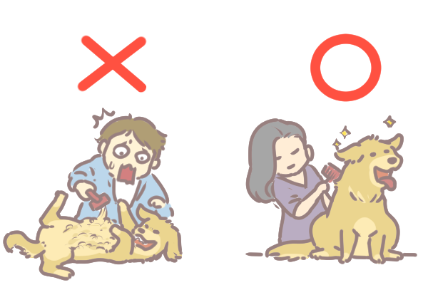 狗狗毛髮養護的十大秘招_8