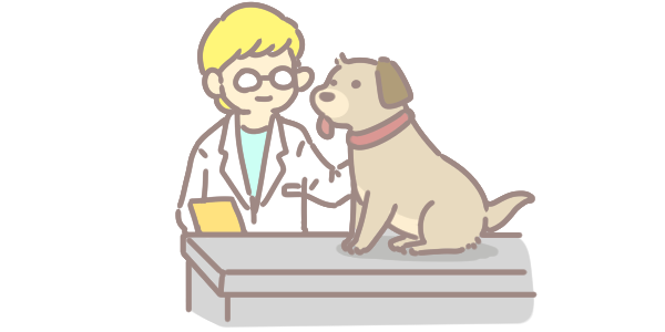 狗狗毛髮養護的十大秘招_11