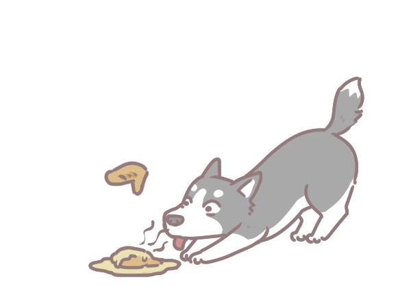 貓狗為何吃反芻食物_3 貓狗為何吃反芻食物_3