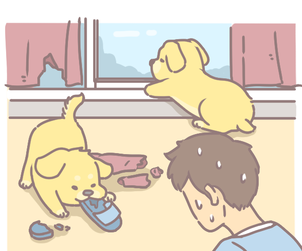 和毛孩玩嗅聞遊戲消耗體力_1