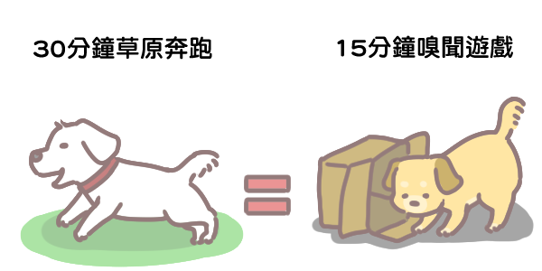 和毛孩玩嗅聞遊戲消耗體力_2