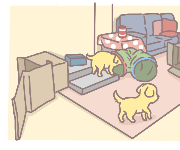 和毛孩玩嗅聞遊戲消耗體力_3