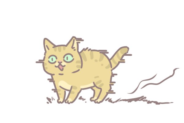 貓咪肉球保養_7