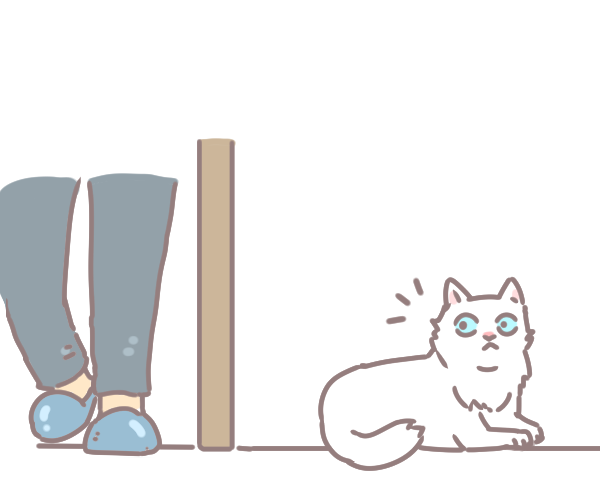 貓咪肉球保養_4