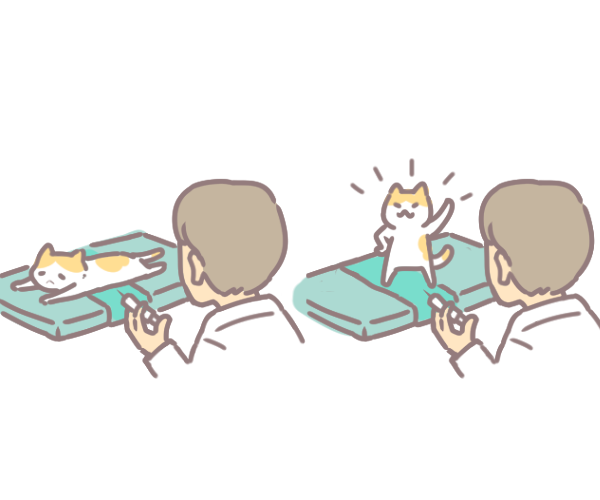 寵物打疫苗注意事項_4