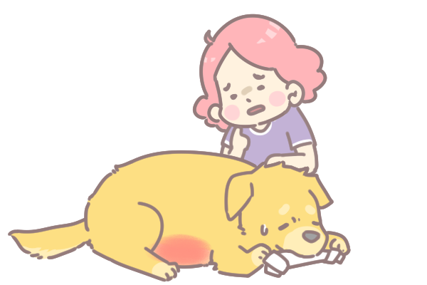 為何不該讓狗吃白色牛皮骨_6 為何不該讓狗吃白色牛皮骨_6