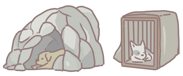 籠內訓練的好處_5