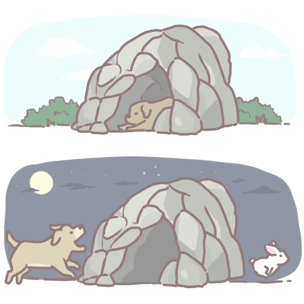 籠內訓練的好處_6