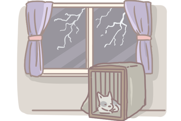 籠內訓練的好處_4