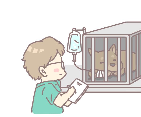 籠內訓練的好處_3