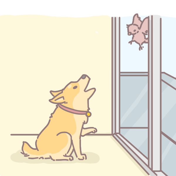 籠內訓練的好處_2