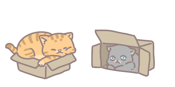 貓咪為何愛紙箱_1