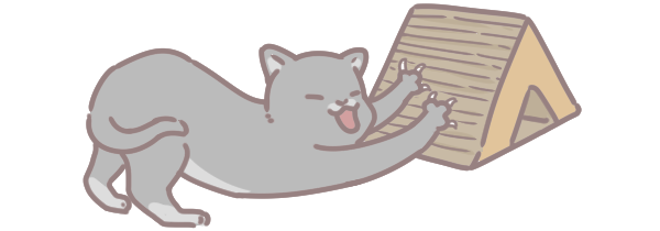 貓咪為何愛紙箱_3