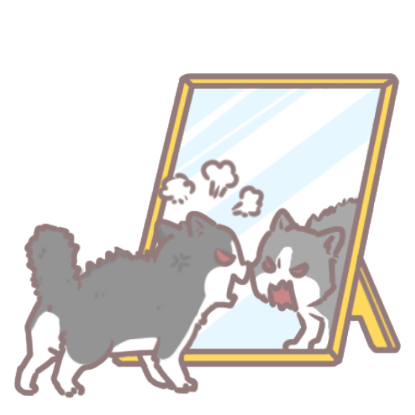 貓狗照鏡子_3 貓狗照鏡子_3