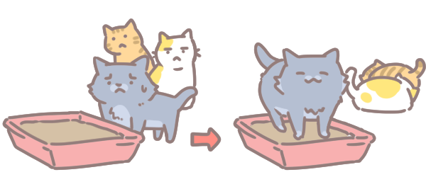 貓與貓砂盆_3 貓與貓砂盆_3