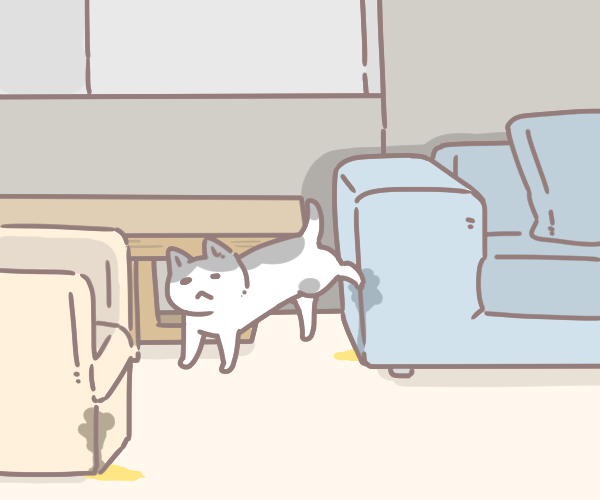 貓與貓砂盆_4 貓與貓砂盆_4