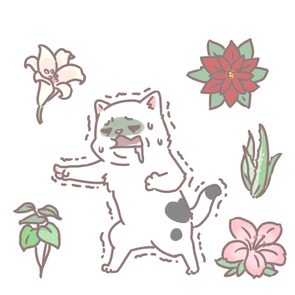 寵物碰到這些植物會中毒_6